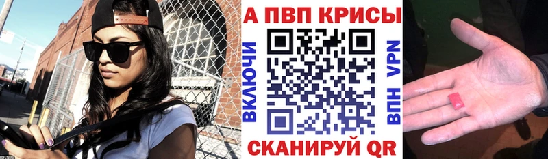 А ПВП крисы CK  Каргополь 