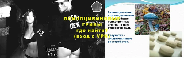 дживик Зерноград