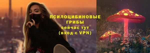 дживик Зерноград