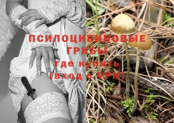 2c-b Зеленокумск