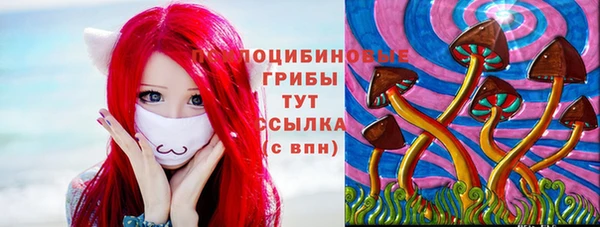 дживик Зерноград