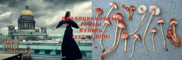2c-b Зеленокумск